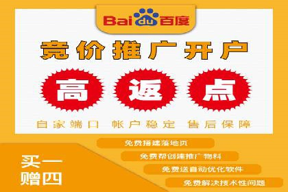百度广告的定向投放与效果监控